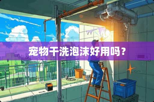 宠物干洗泡沫好用吗？