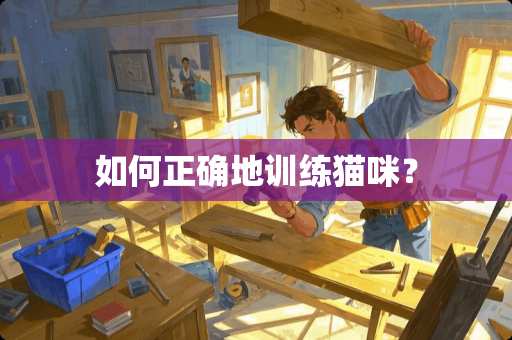 如何正确地训练猫咪？