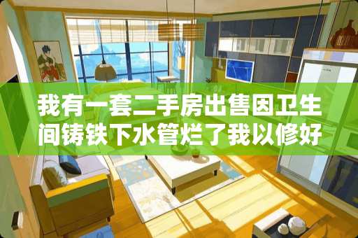 我有一套二手房出售因卫生间铸铁下水管烂了我以修好有人耍吗？