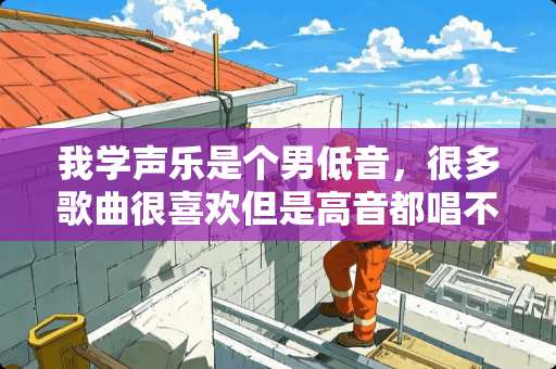 我学声乐是个男低音，很多歌曲很喜欢但是高音都唱不上去，这个可以练吗？怎么练