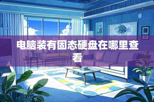 电脑装有固态硬盘在哪里查看