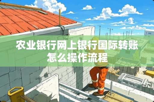 农业银行网上银行国际转账怎么操作流程