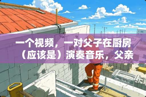 一个视频，一对父子在厨房（应该是）演奏音乐，父亲吹长号，儿子玩烤箱！