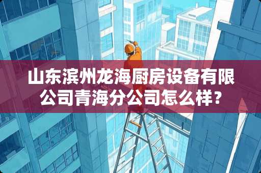 山东滨州龙海厨房设备有限公司青海分公司怎么样？