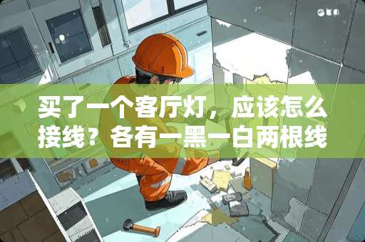 买了一个客厅灯，应该怎么接线？各有一黑一白两根线