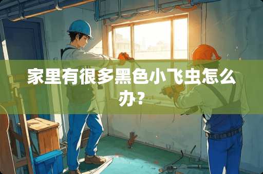 家里有很多黑色小飞虫怎么办？