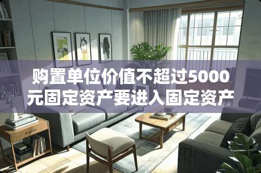 购置单位价值不超过5000元固定资产要进入固定资产科目核算吗