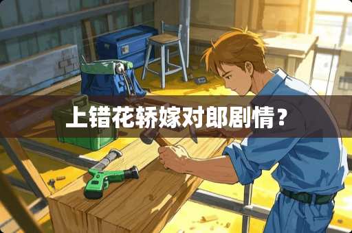 上错花轿嫁对郎剧情？