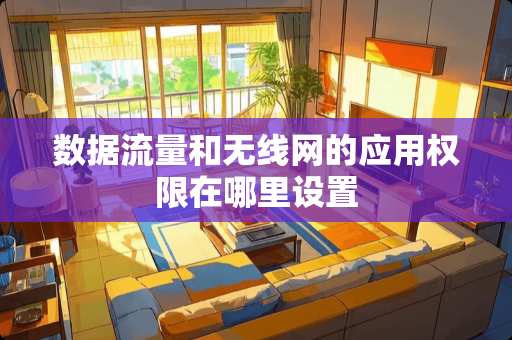 数据流量和无线网的应用权限在哪里设置