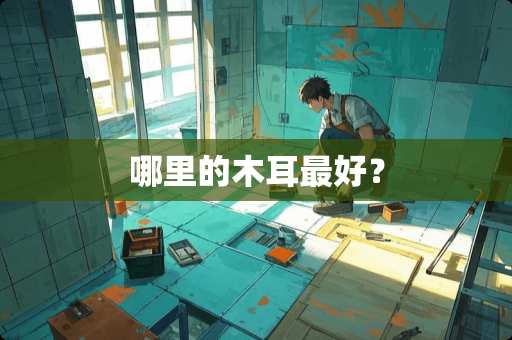 哪里的木耳最好？