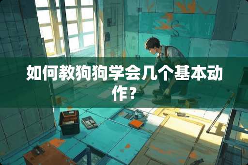 如何教狗狗学会几个基本动作？