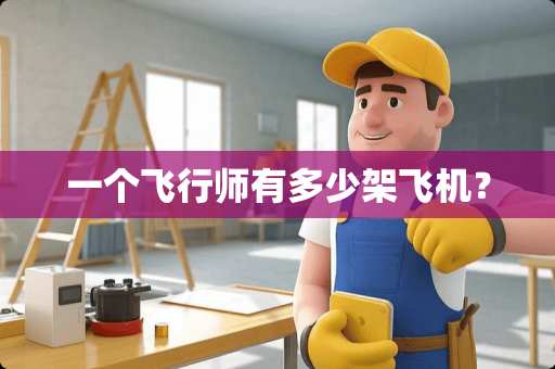 一个飞行师有多少架飞机？