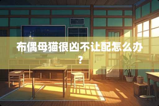 布偶母猫很凶不让配怎么办？