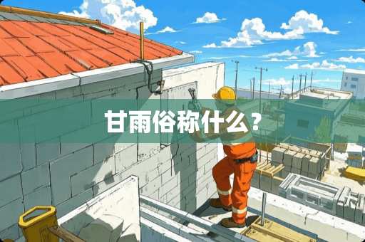 甘雨俗称什么？