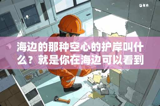 海边的那种空心的护岸叫什么？就是你在海边可以看到的混凝土块，很大块的那种 。