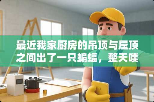 最近我家厨房的吊顶与屋顶之间出了一只蝙蝠，整天噗噗楞楞的，烦死了，怎么办啊