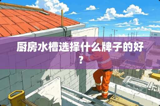 厨房水槽选择什么牌子的好？