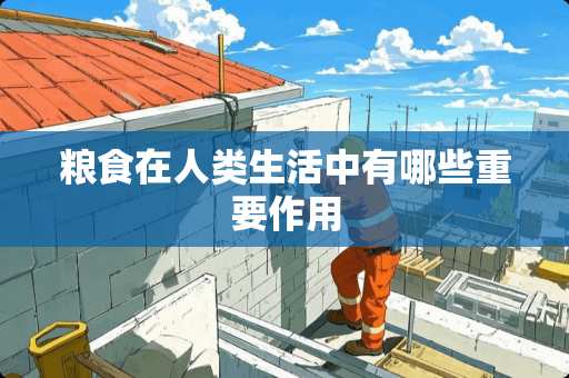 粮食在人类生活中有哪些重要作用