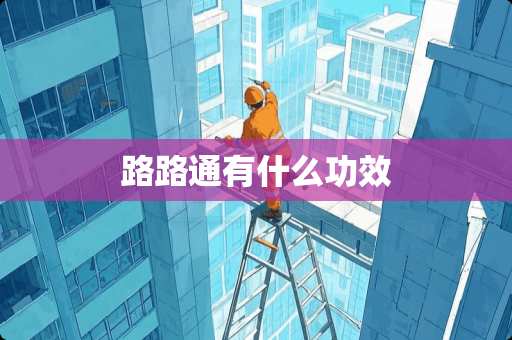 路路通有什么功效