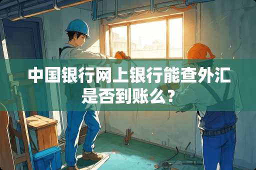 中国银行网上银行能查外汇是否到账么？