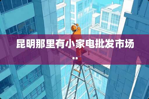 昆明那里有小家电批发市场..