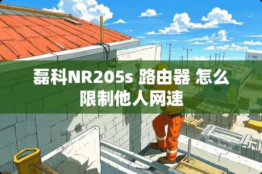 磊科NR205s 路由器 怎么限制他人网速
