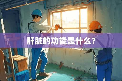 肝脏的功能是什么？