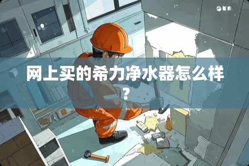 网上买的希力***怎么样？