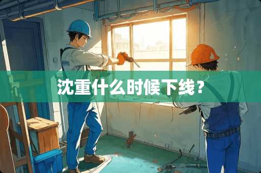 沈重什么时候下线？