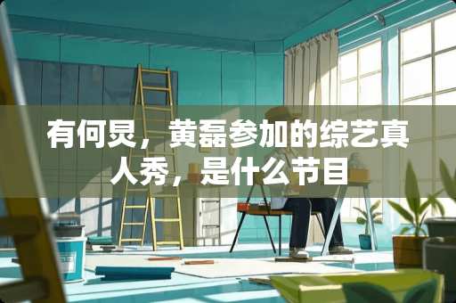 有何炅，黄磊参加的综艺真人秀，是什么节目