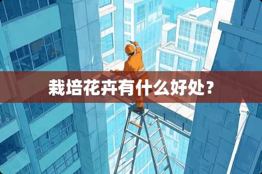 栽培花卉有什么好处？