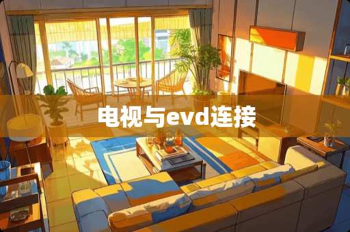 电视与evd连接 电视与evd连接