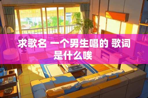 求歌名 一个男生唱的 歌词是什么唉 