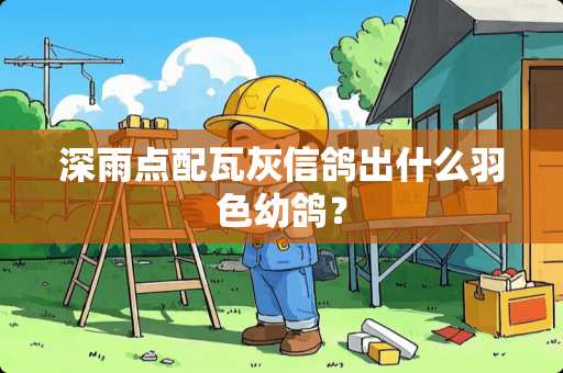 深雨点配瓦灰信鸽出什么羽色幼鸽？