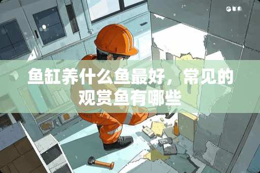 鱼缸养什么鱼最好，常见的观赏鱼有哪些