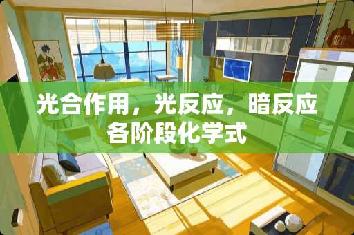 光合作用，光反应，暗反应各阶段化学式