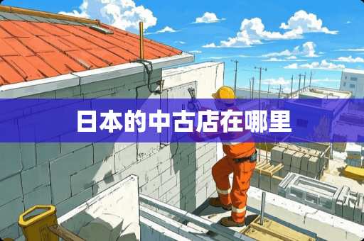 日本的中古店在哪里