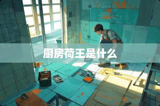 厨房荷王是什么