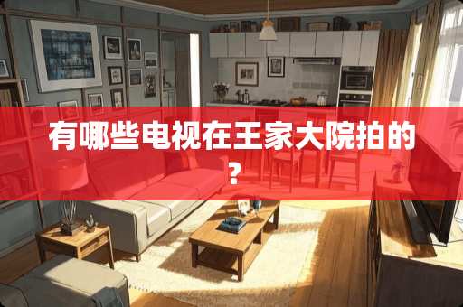 有哪些电视在王家大院拍的？