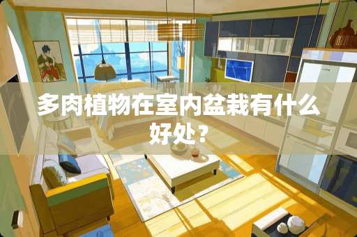 多肉植物在室内盆栽有什么好处？