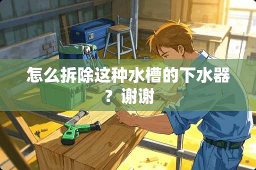 怎么拆除这种水槽的下水器？谢谢