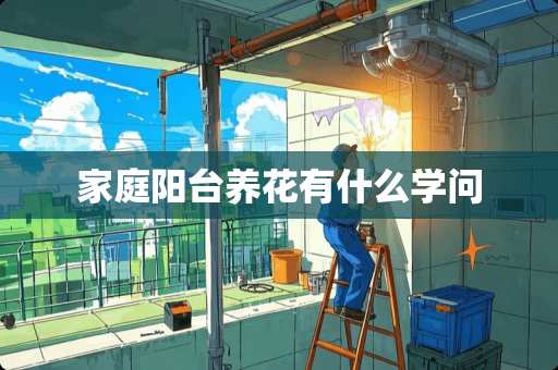 家庭阳台养花有什么学问