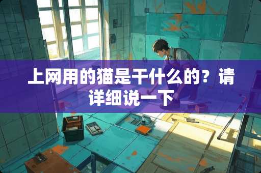 上网用的猫是干什么的？请详细说一下