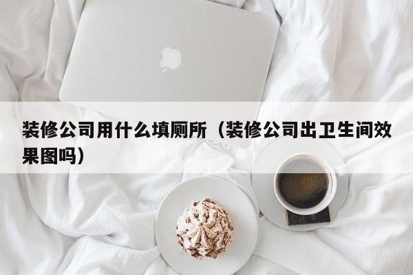 装修公司用什么填厕所（装修公司出卫生间效果图吗）
