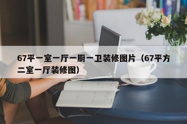 67平一室一厅一厨一卫装修图片（67平方二室一厅装修图）