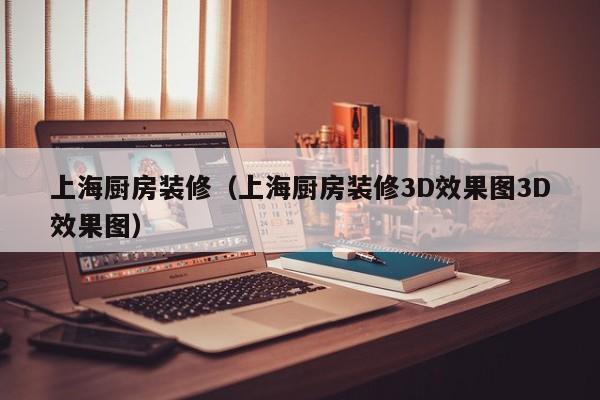 上海厨房装修(上海厨房装修3D效果图3D效果图) 上海厨房装修(上海厨房装修3D效果图3D效果图)