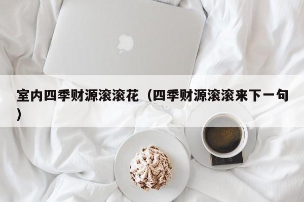室内四季财源滚滚花（四季财源滚滚来下一句）