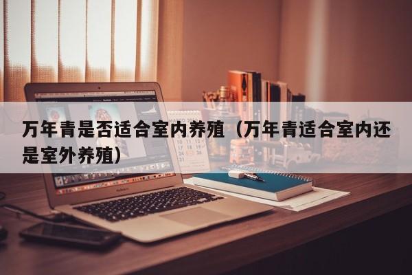 万年青是否适合室内养殖（万年青适合室内还是室外养殖）