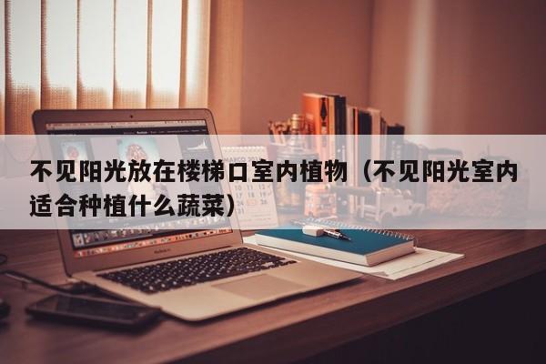 不见阳光放在楼梯口室内植物（不见阳光室内适合种植什么蔬菜）
