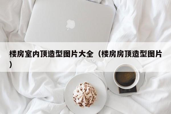 楼房室内顶造型图片大全（楼房房顶造型图片）